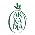 Fundacja na Rzecz Osób Niepełnosprawnych "Arkadia" w Toruniu