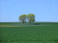 Photo by Sylvia Rupp, freeimages.com Photo by Sylvia Rupp, freeimages.com
