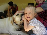 Dogoterapia z Subicere Dogoterapia z Subicere