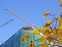 Photo by H Assaf, freeimages.com Photo by H Assaf, freeimages.com