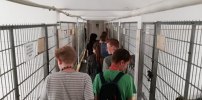 Pomagamy zwierzętom ze schroniska (Borówno)